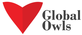 Global Owls helps non profits organisation