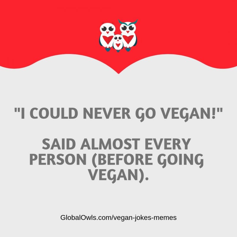 Top Vegan Jokes And Memes Thatll Make You Lol Globalowls 4674