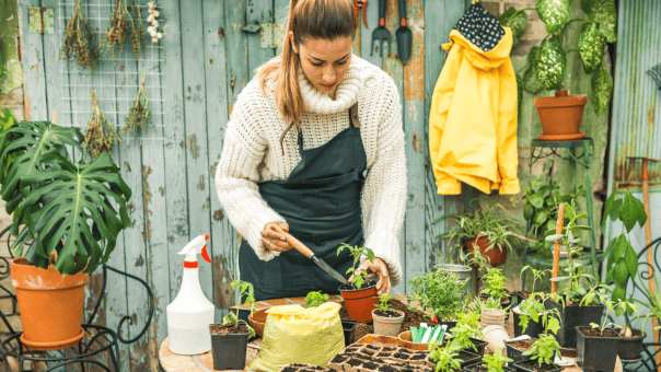 Ce que vous devriez cultiver dans votre jardin biologique