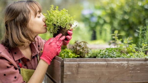 what is organic gardening