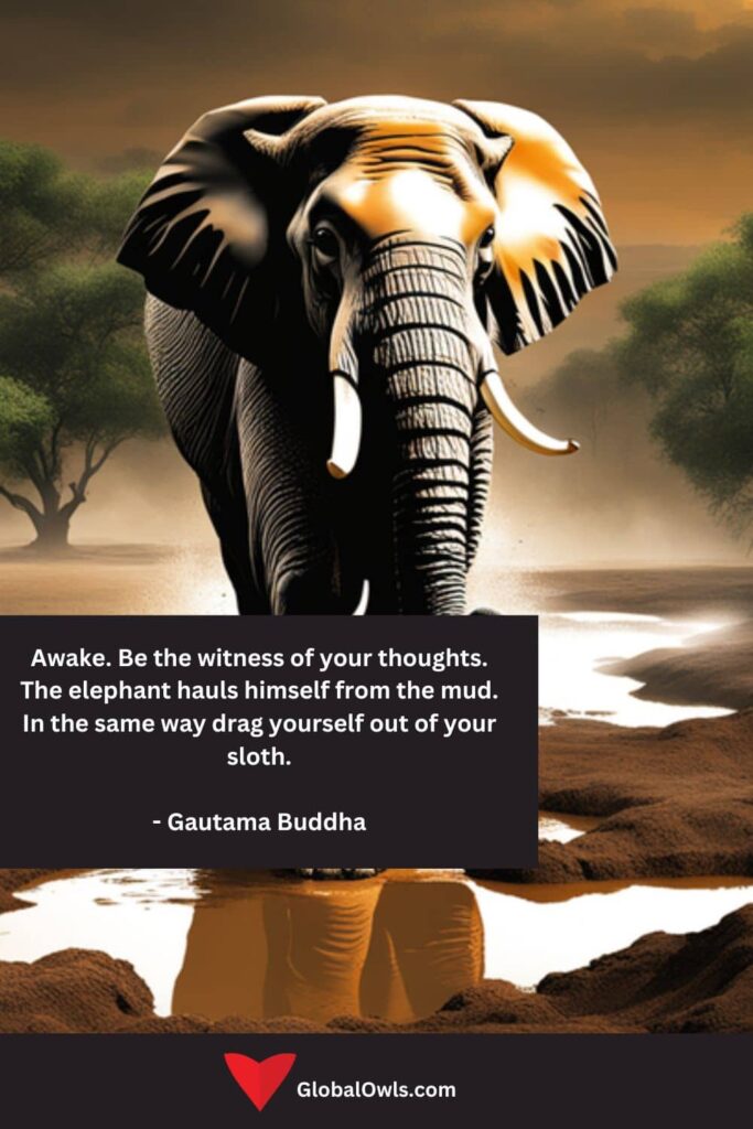 Sloth Quotes Awake. Be the witness of your thoughts. The elephant hauls himself from the mud. In the same way drag yourself out of your sloth. - Gautama Buddha