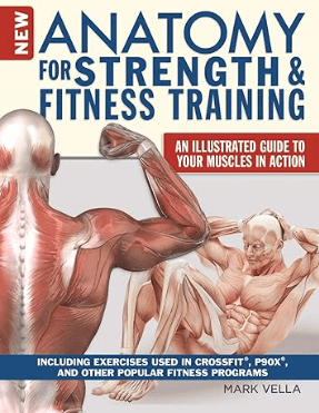 New Anatomy for Strength and Fitness Training An Illustrated Guide to Your Muscles in Action Including Exercises Used in CrossFit, P90X, and Other Popular Fitness Programs