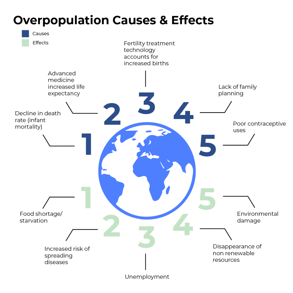overpopulation cause and effect infographic