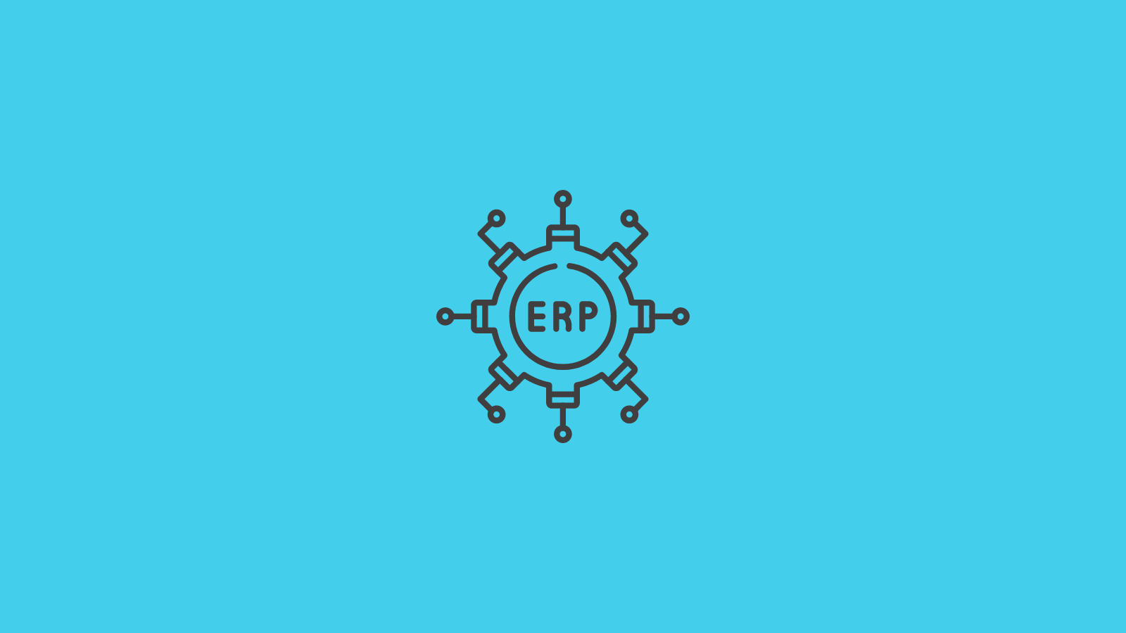 An ERP is Cost Efficient