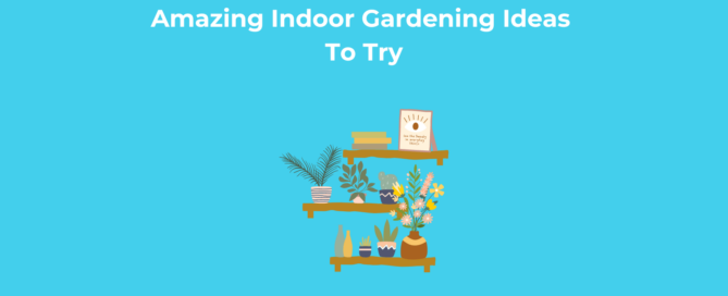 Amazing Indoor Gardening Ideas To Try