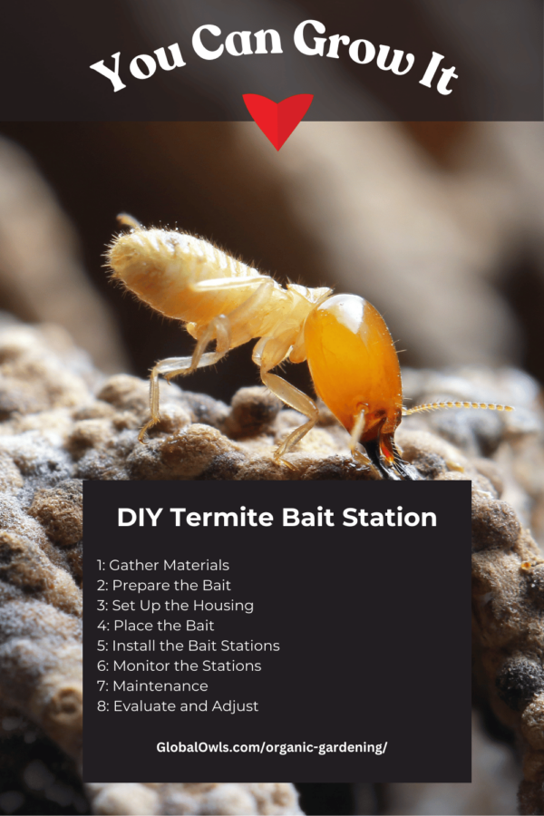 The Best Termite Bait Stations - Do They Work?