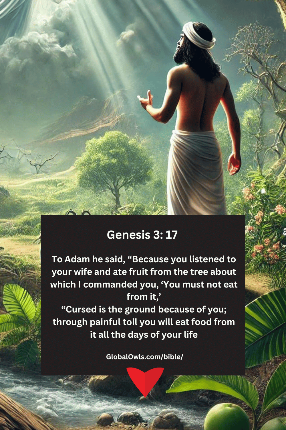 Genesis 3 17