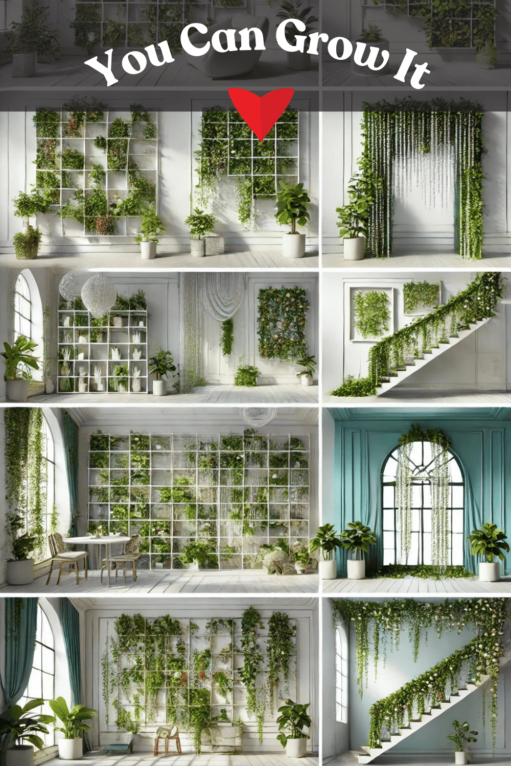 Indoor Gardening Ideas - Dynamic Displays with Trailing and Climbing Plants