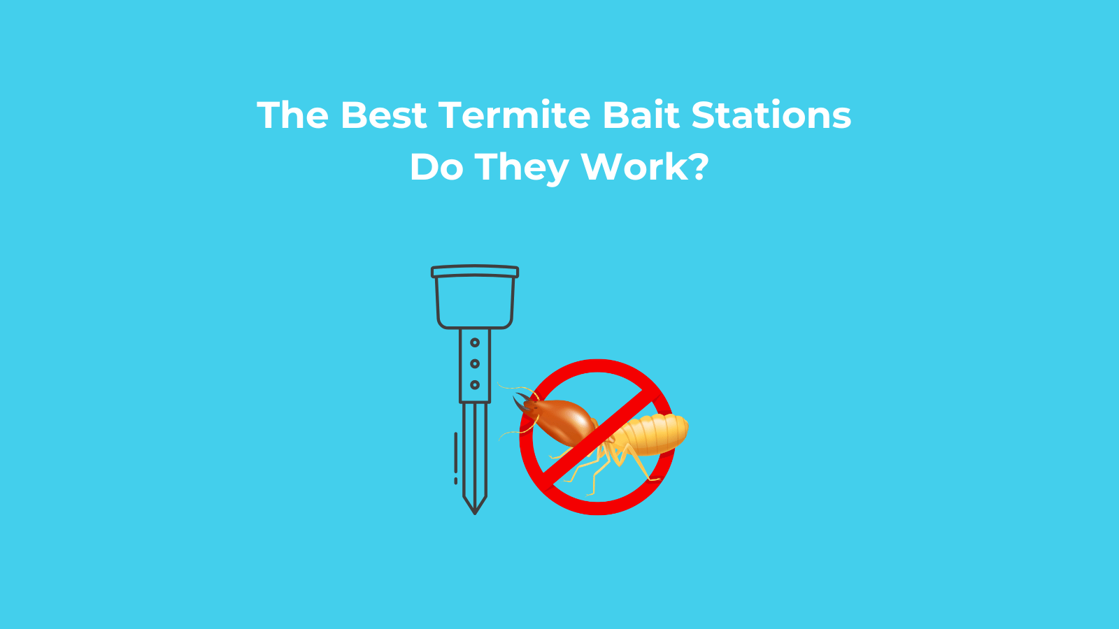 The Best Termite Bait Stations - Do They Work?