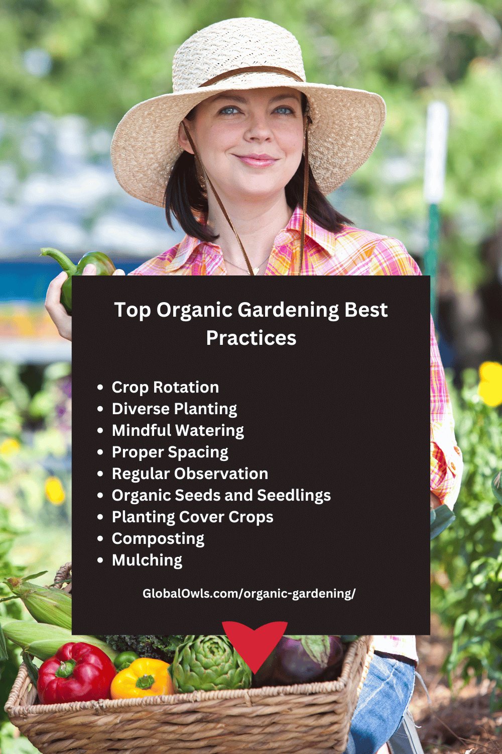 Top Organic Gardening Best Practices