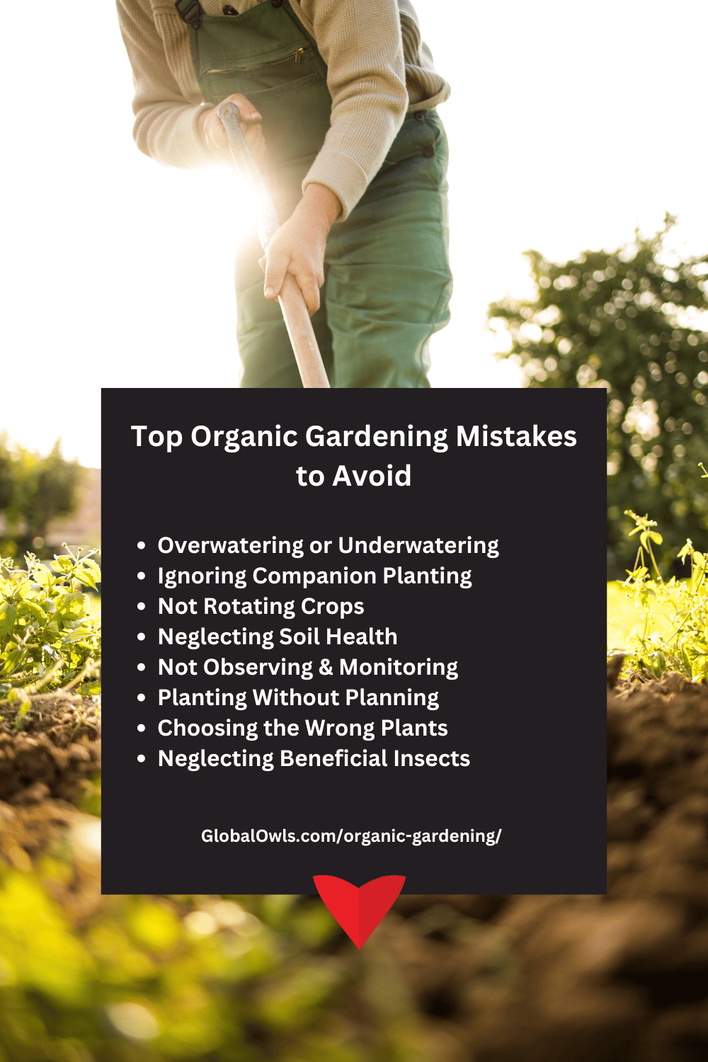 Top Organic Gardening Mistakes to Avoid