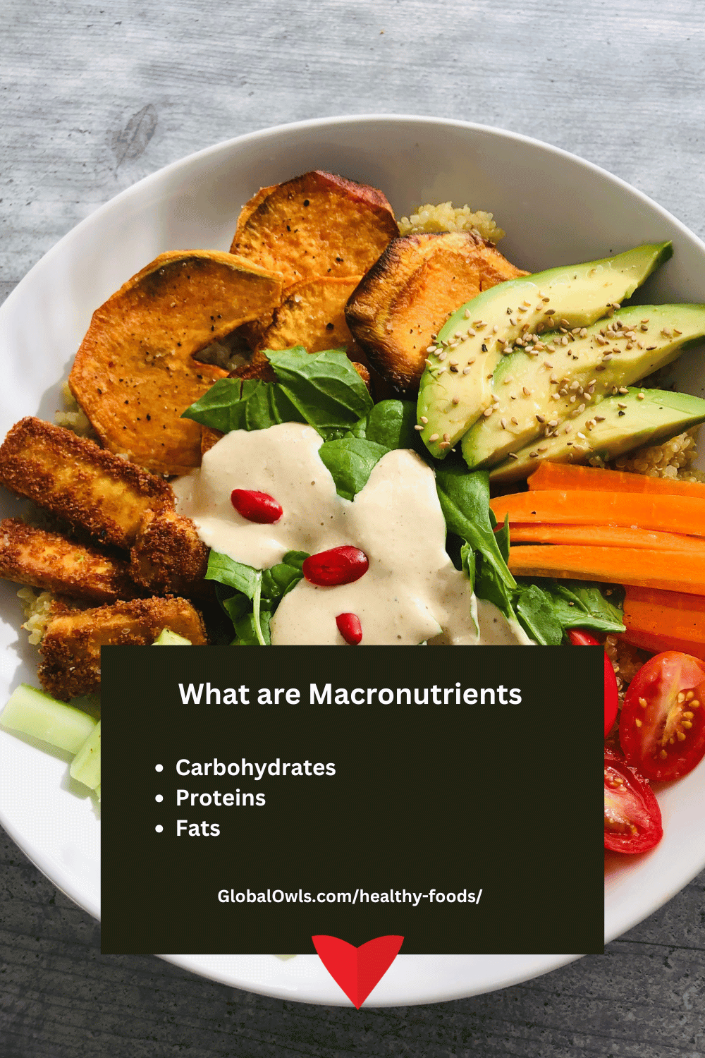 What are Macronutrients