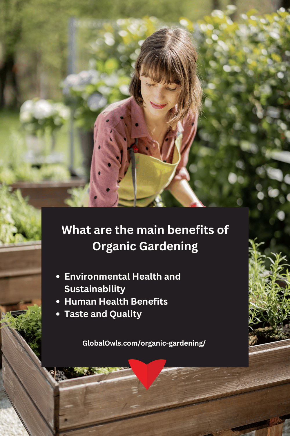 What are the main benefits of Organic Gardening