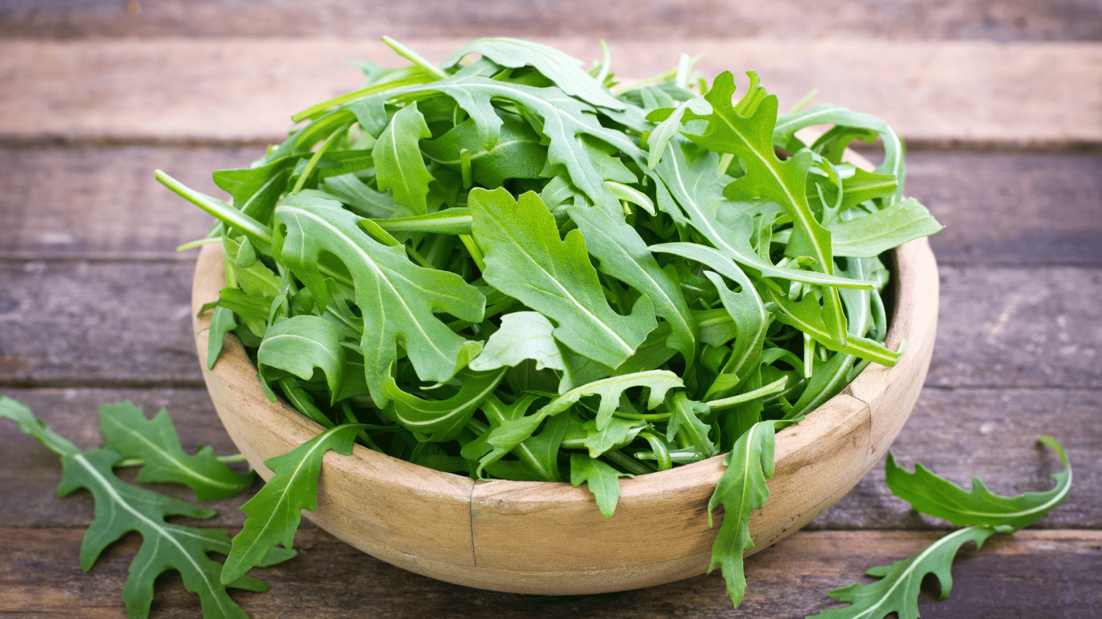 What is Arugula