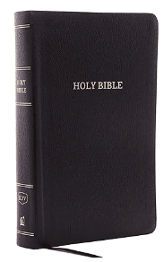 Get the Bible