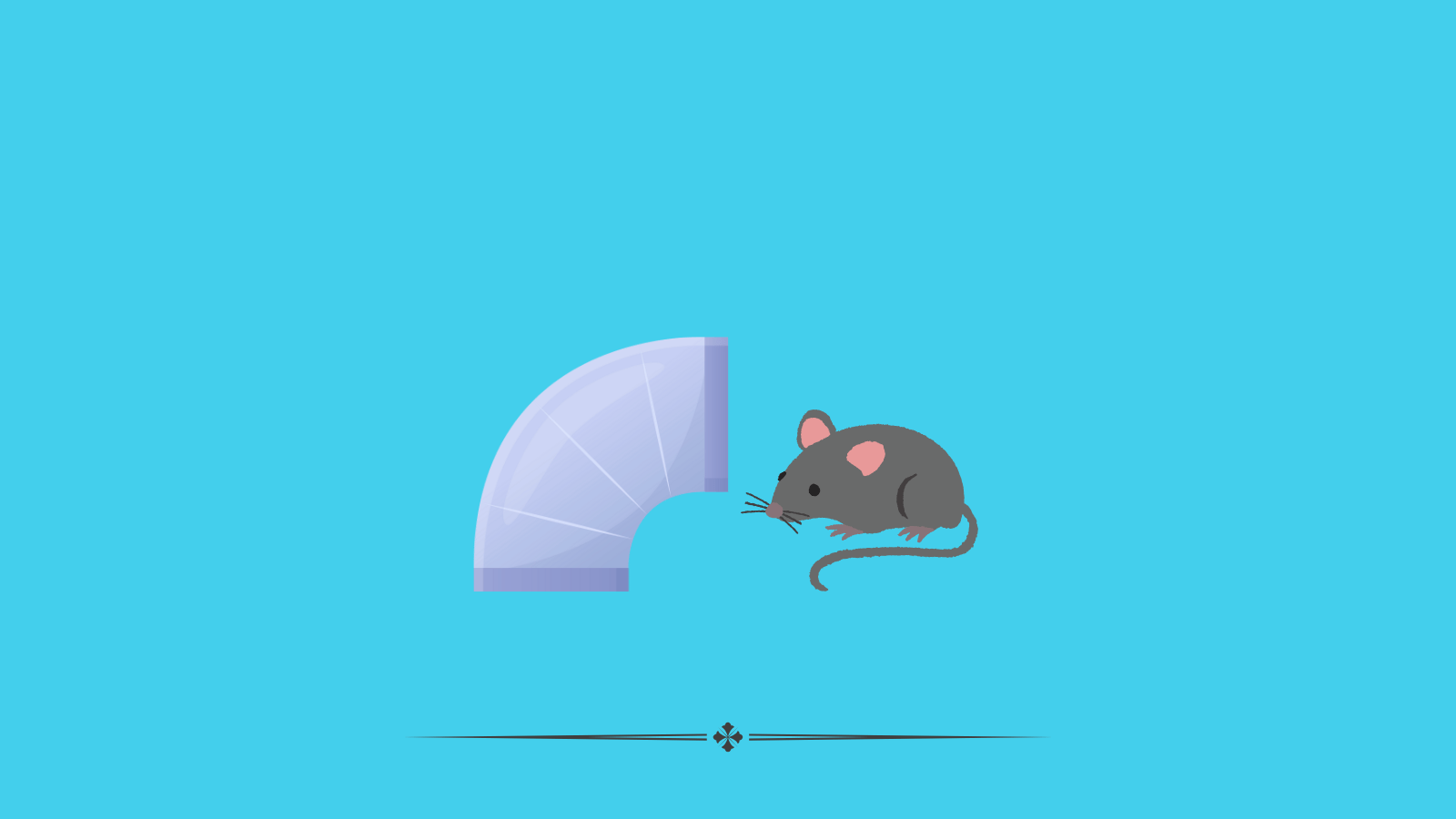 How to Handle Mice in Your Ductwork