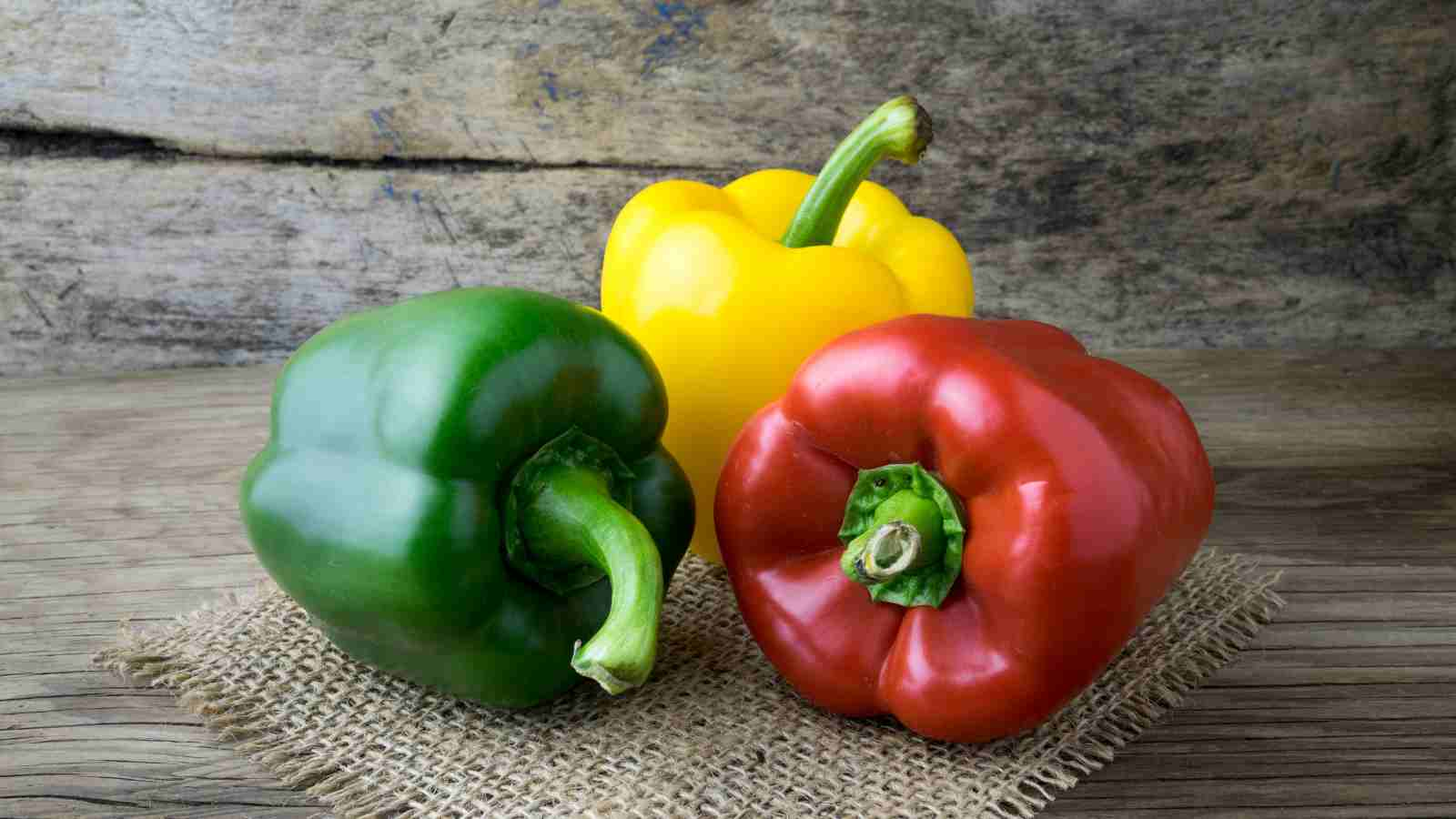 Choose Right Indoor Bell Pepper Variety