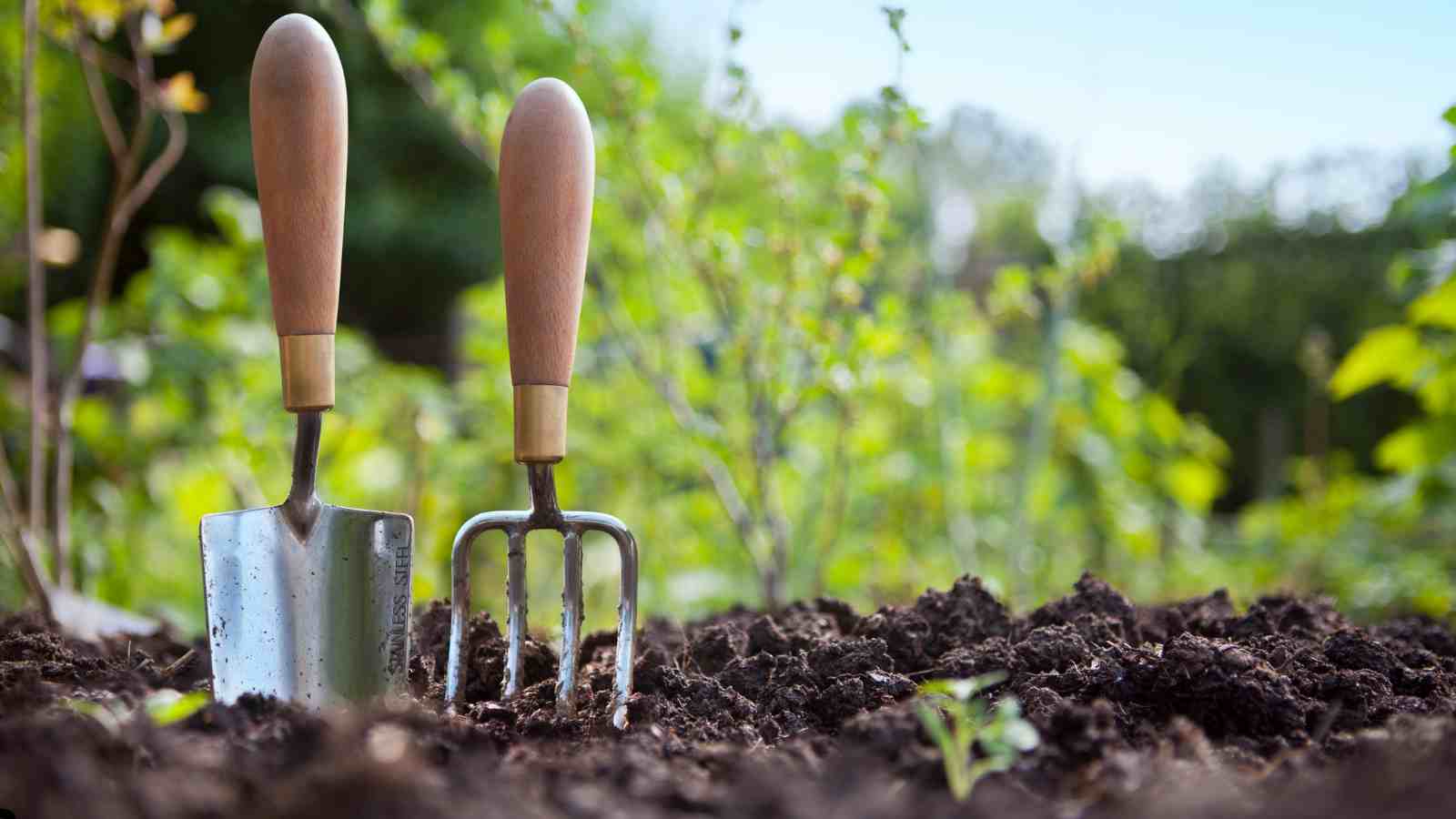 Common Gardening Challenges - Managing Gardening Expenses How to Grow on a Budget