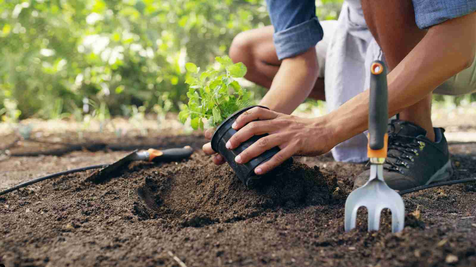 Get Your Soil Ready for Spring