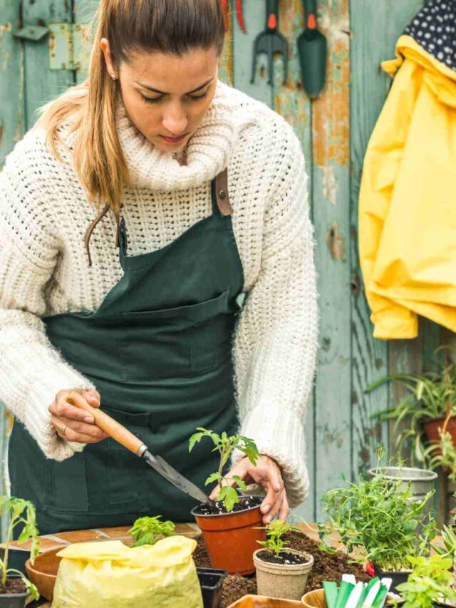 What to Grow in February! 🌱❄️