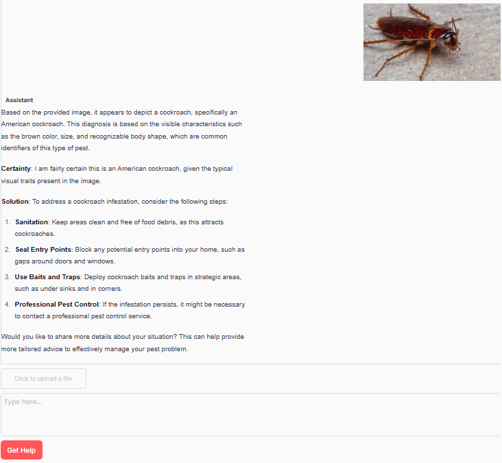 AI Pest Identifier – cockroach example AI Pest Identifier - cockroach example